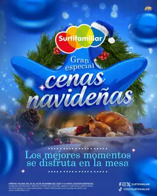 Catálogo Surtifamiliar (válido hasta 24-12)