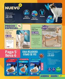 Catálogo Nova Venta Página 47