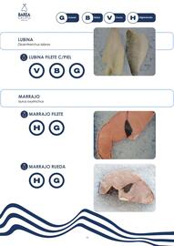 Catálogo Cash Barea Página 14