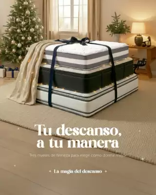 Catálogo Drimer (válido hasta 29-12)