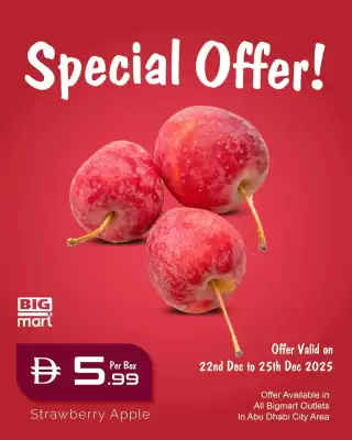 Bigmart leaflet (valid until 25-12)