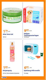 Action Flugblatt woche 52 Seite 22