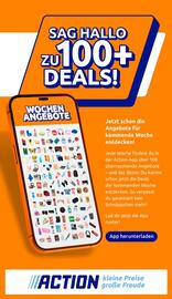 Action Flugblatt woche 52 Seite 28