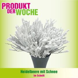 Blumen B&B Flugblatt woche 52 Seite 2