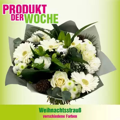 Blumen B&B Flugblatt (gültig bis 29-12)