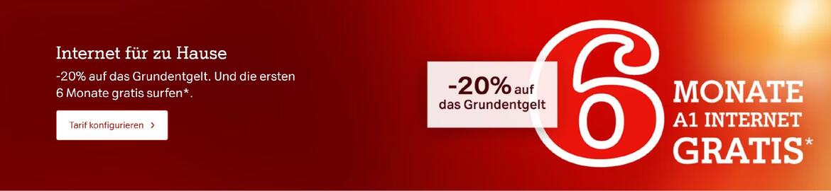 A1 Flugblatt Seite 1