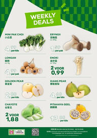 Amazing Oriëntal folder week 52 Pagina 1