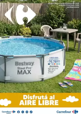 Catálogo Carrefour (válido hasta 13-01)