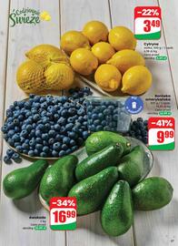 Dino gazetka Strona 37