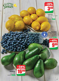 Dino gazetka Strona 37