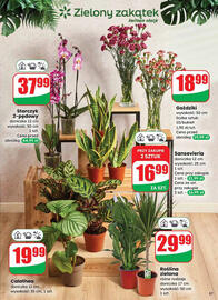 Dino gazetka Strona 57