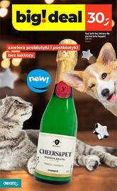 Dealz gazetka Strona 32