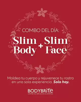 Catálogo BodyBrite (válido hasta 31-12)