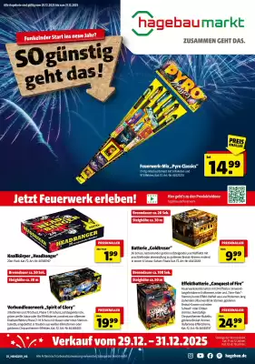 Hagebau Prospekt (gültig bis 31-12)