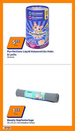 Action Prospekt woche 52 Seite 15