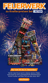 Action Prospekt woche 52 Seite 16