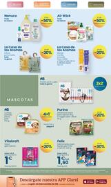 Folleto Clarel Página 19