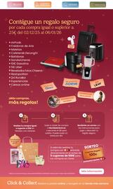 Folleto Clarel Página 2