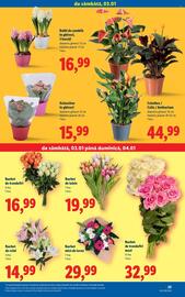 Catalog Lidl Pagină 25