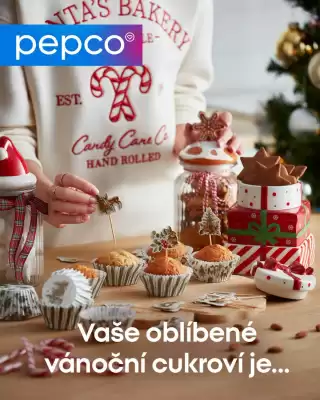 Pepco leták (platné do 30-12)