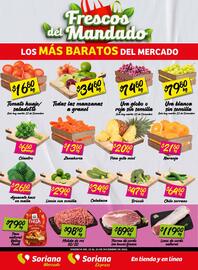 Folleto Soriana Mercado Página 1
