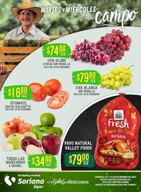 Catálogo Soriana Súper Página 1