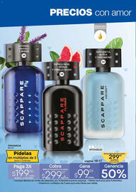 Catálogo Fuller Página 14