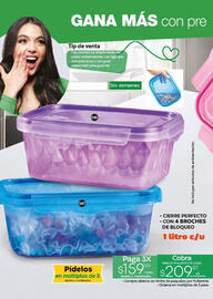 Catálogo Fuller Página 22