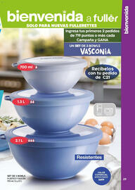 Catálogo Fuller Página 29