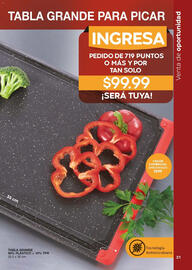 Catálogo Fuller Página 31