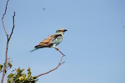 Subaru catalogue week 52 Page 1