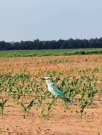 Subaru catalogue week 52 Page 3