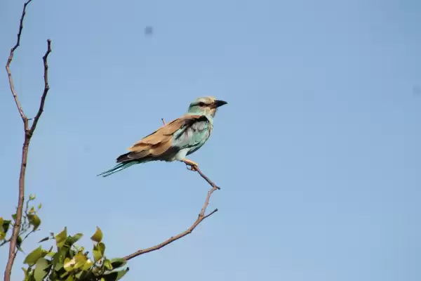 Subaru catalogue (valid until 30-12)