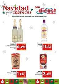 Folleto Dicost Página 1