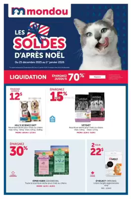 Mondou flyer (valid until 1-01)