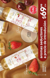 Catálogo Fuller Página 11