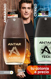 Catálogo Fuller Página 12