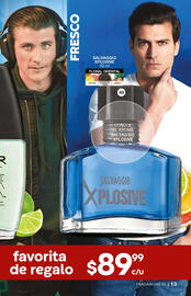 Catálogo Fuller Página 13