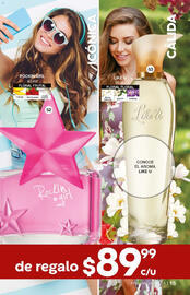 Catálogo Fuller Página 15