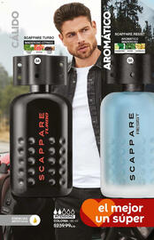 Catálogo Fuller Página 16