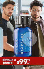 Catálogo Fuller Página 17