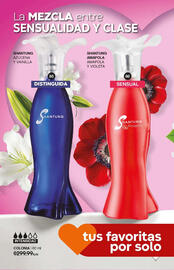 Catálogo Fuller Página 18