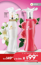 Catálogo Fuller Página 19