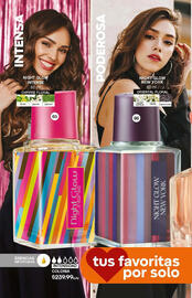 Catálogo Fuller Página 22