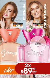 Catálogo Fuller Página 23