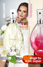 Catálogo Fuller Página 28