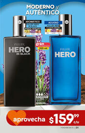 Catálogo Fuller Página 31