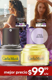 Catálogo Fuller Página 33