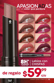 Catálogo Fuller Página 55