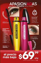 Catálogo Fuller Página 61